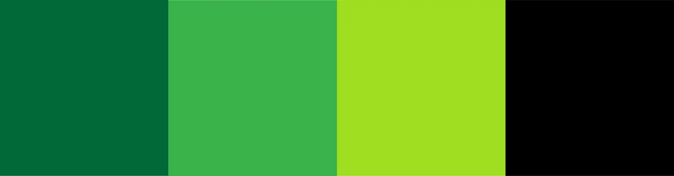 Axxets Brand - Color Palette