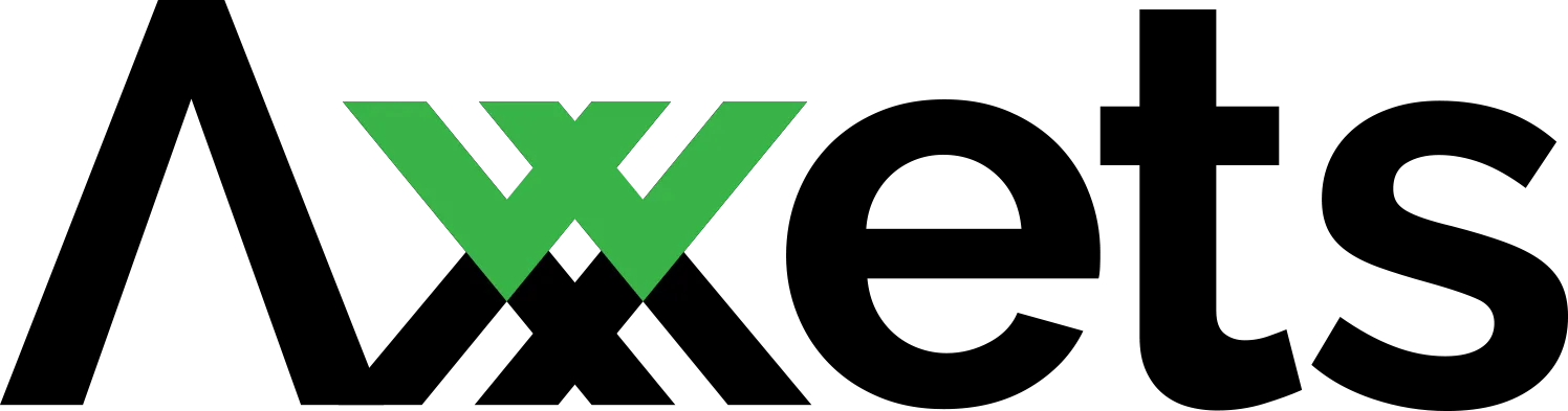 Axxets Brand - Process