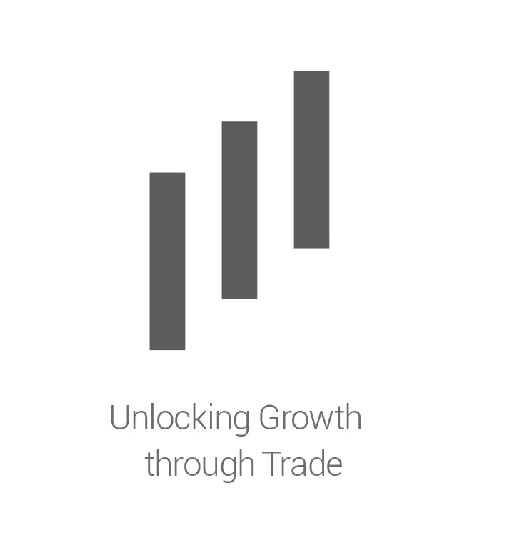 Visa Economic Empowerment Institute Brand - Bars