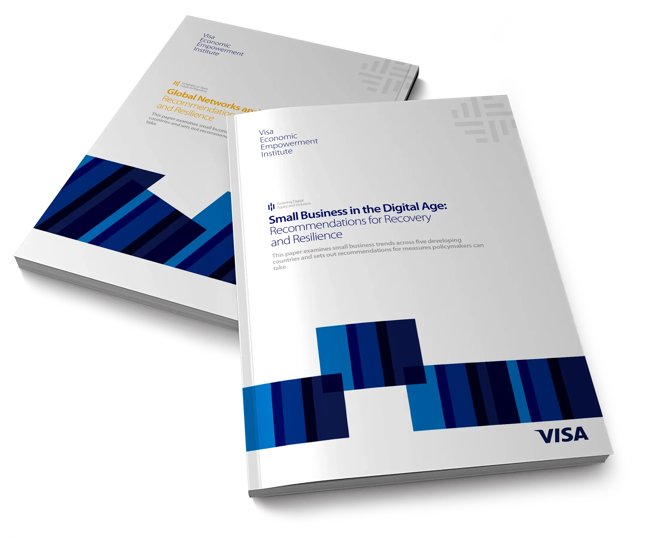 Visa Economic Empowerment Institute Brand - Books