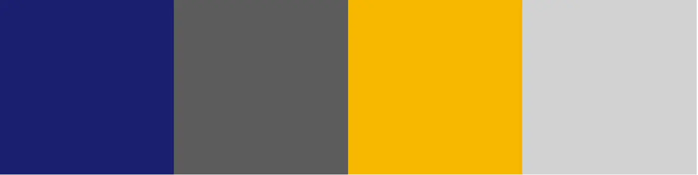 Visa Economic Empowerment Institute Brand - Color Palette