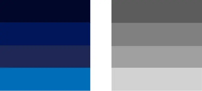 Visa Economic Empowerment Institute Brand - Color Palette