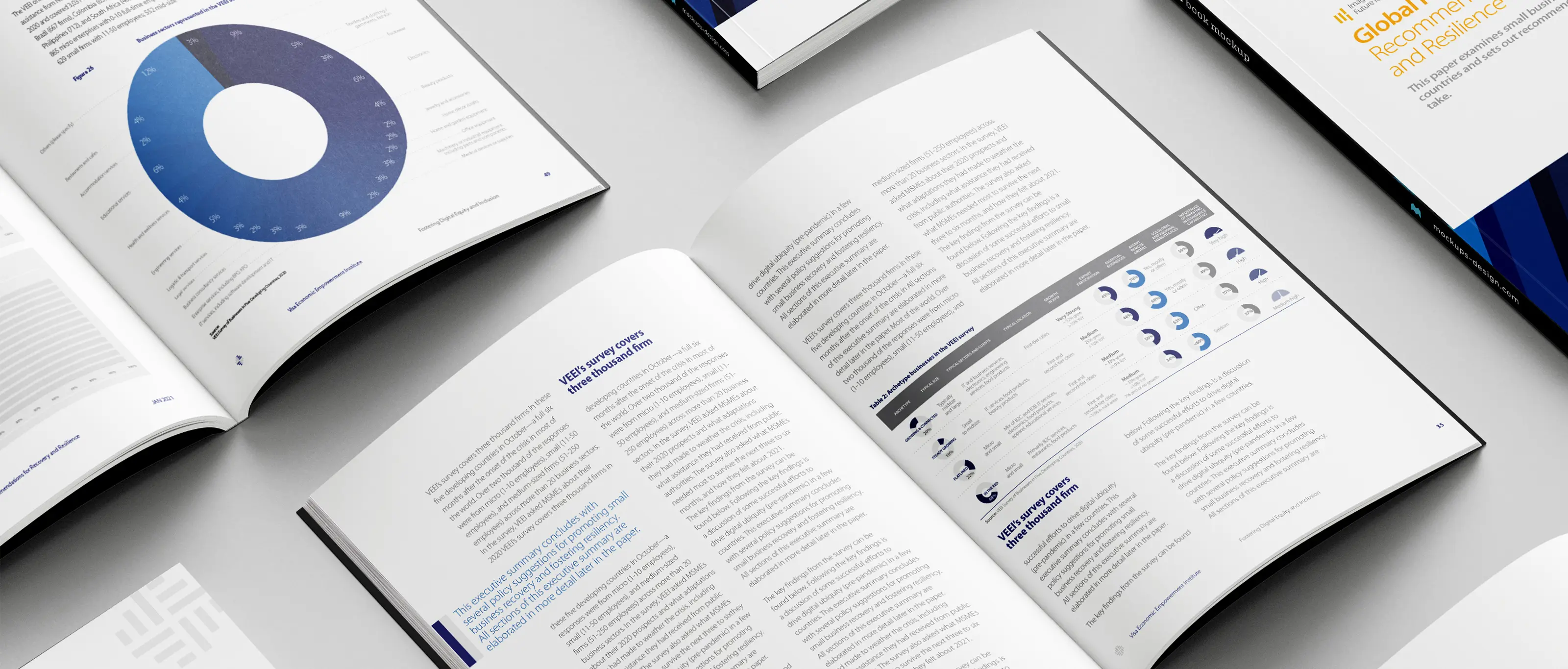 Visa Economic Empowerment Institute Brand - Magazine Background