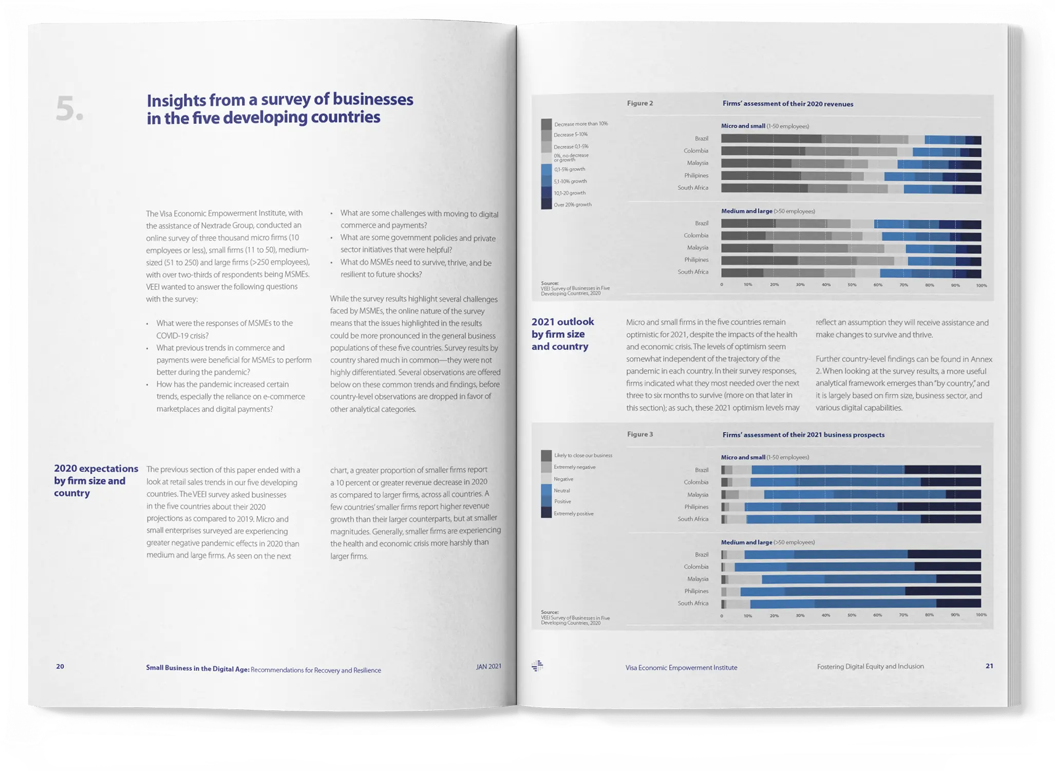 Visa Economic Empowerment Institute Brand - Colors Background