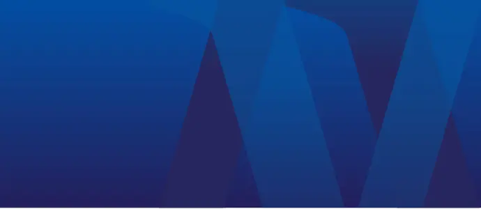 Visa University Brand - Pattern Blue