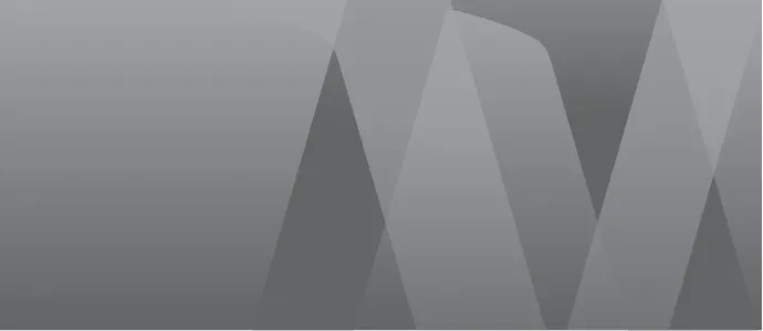 Visa University Brand - Pattern Gray