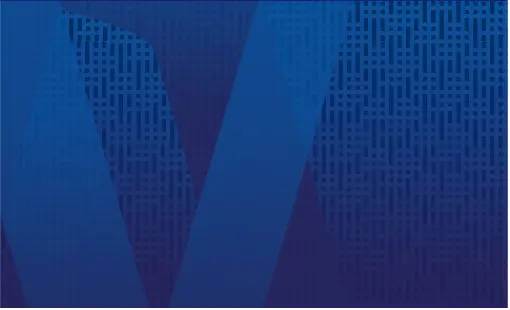 Visa University Site Update - Texture