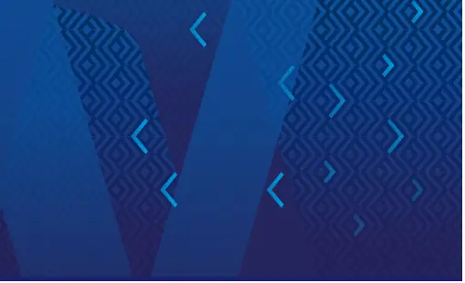 Visa University Site Update - Texture