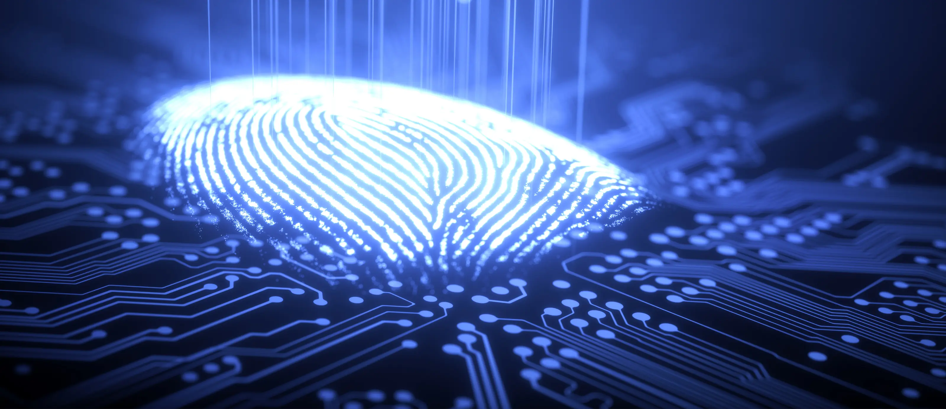 Cardinal blue background