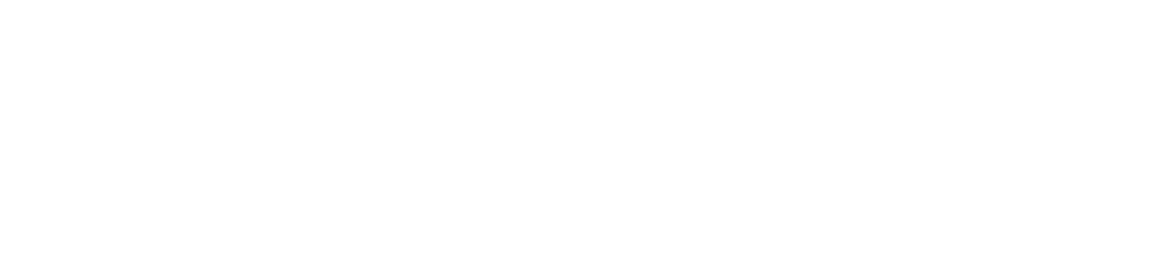 Ray media white logo