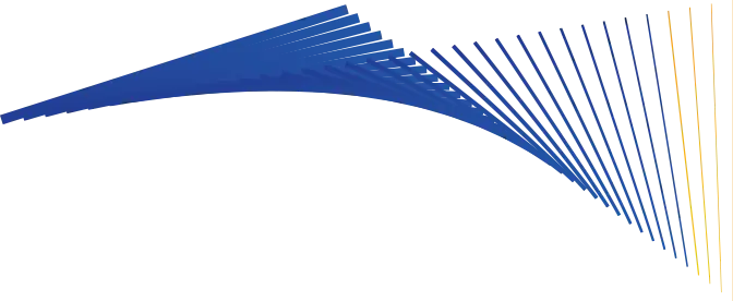 Visa Tokyo 2020 - Dynamic Flag