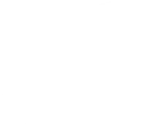 Orca - Logo